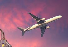 TELE EXPORTAR – Programa de Exportación a Colombia