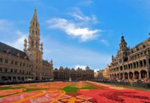 TELE EXPORTAR – Programa de Exportación a Belgica