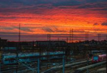 TELE EXPORTAR – Programa de Exportación a Dinamarca