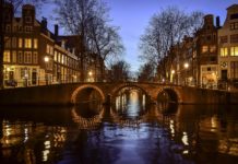 TELE EXPORTAR – Programa de Exportación a Holanda
