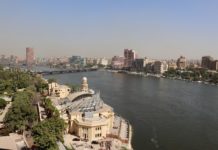 TELE EXPORTAR – Programa de Exportación a Egipto
