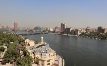TELE EXPORTAR – Programa de Exportación a Egipto